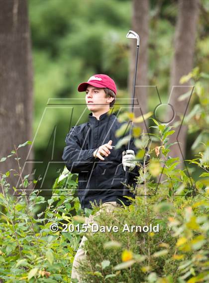 Thumbnail 2 in Dedham @ Needham photogallery.