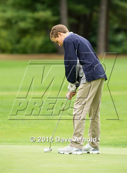 Thumbnail 2 in Dedham @ Needham photogallery.