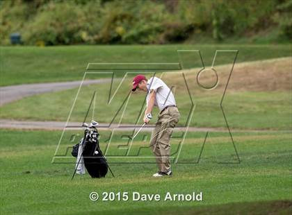 Thumbnail 1 in Dedham @ Needham photogallery.