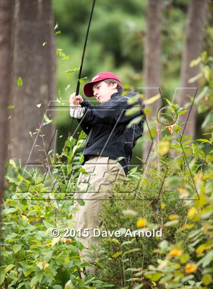 Thumbnail 1 in Dedham @ Needham photogallery.