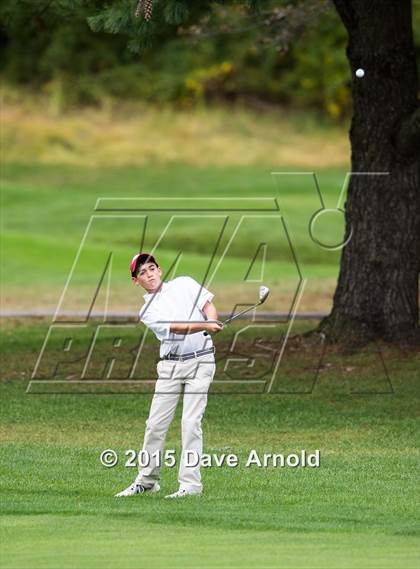 Thumbnail 1 in Dedham @ Needham photogallery.