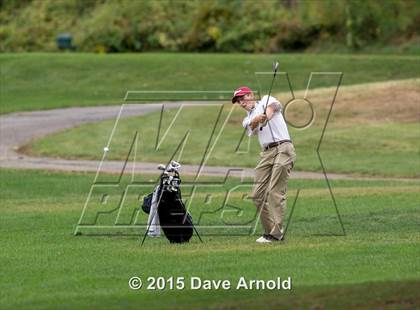 Thumbnail 2 in Dedham @ Needham photogallery.