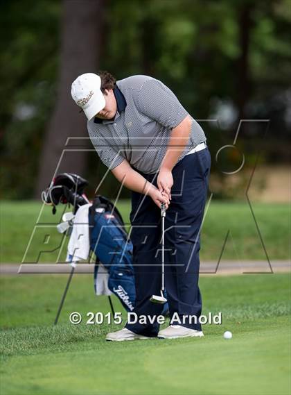 Thumbnail 3 in Dedham @ Needham photogallery.