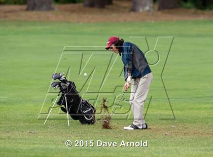 Thumbnail 3 in Dedham @ Needham photogallery.