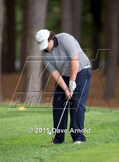 Thumbnail 2 in Dedham @ Needham photogallery.