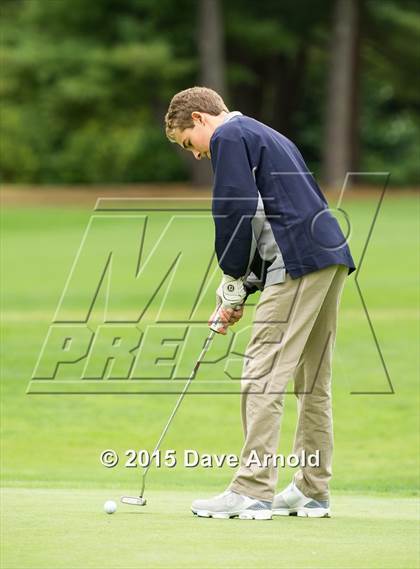 Thumbnail 3 in Dedham @ Needham photogallery.