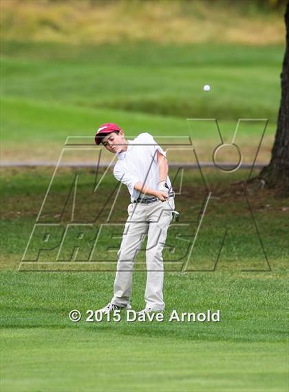 Thumbnail 3 in Dedham @ Needham photogallery.