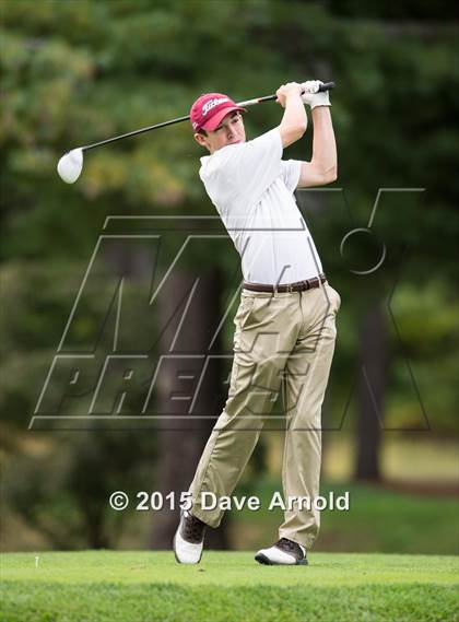 Thumbnail 1 in Dedham @ Needham photogallery.