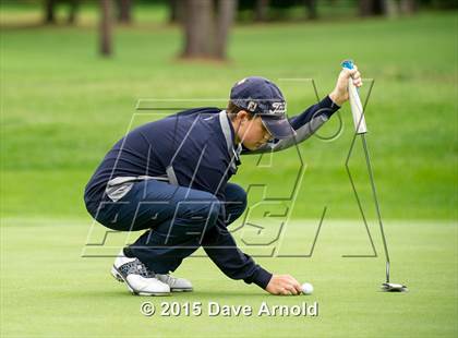 Thumbnail 2 in Dedham @ Needham photogallery.