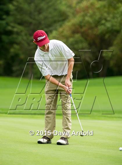 Thumbnail 1 in Dedham @ Needham photogallery.