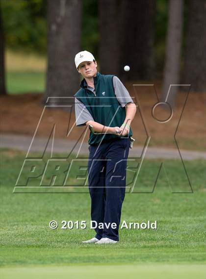 Thumbnail 1 in Dedham @ Needham photogallery.
