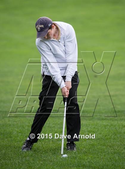 Thumbnail 2 in Dedham @ Needham photogallery.