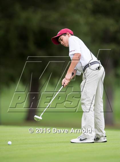 Thumbnail 1 in Dedham @ Needham photogallery.