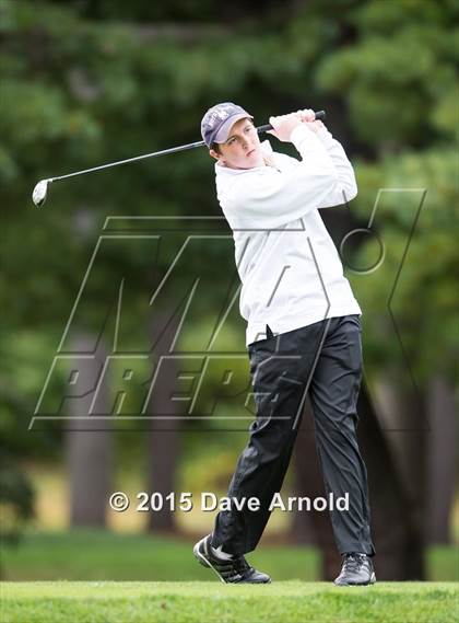 Thumbnail 1 in Dedham @ Needham photogallery.