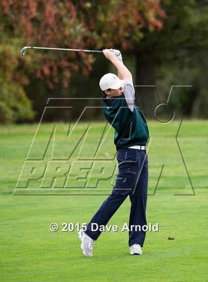 Thumbnail 1 in Dedham @ Needham photogallery.