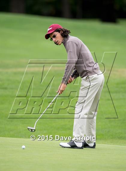 Thumbnail 1 in Dedham @ Needham photogallery.