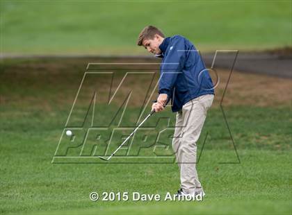 Thumbnail 2 in Dedham @ Needham photogallery.