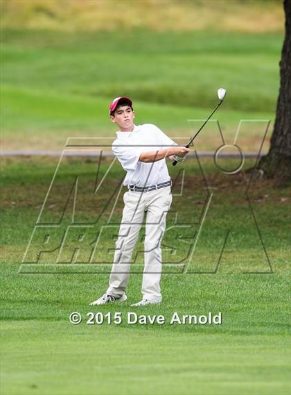 Thumbnail 2 in Dedham @ Needham photogallery.