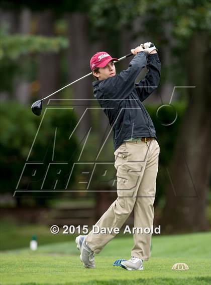 Thumbnail 1 in Dedham @ Needham photogallery.