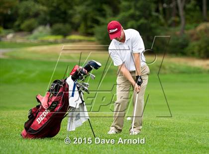 Thumbnail 2 in Dedham @ Needham photogallery.