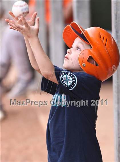 Thumbnail 3 in Brighton @ Boulder Creek (Coach Bob National Invitational) photogallery.