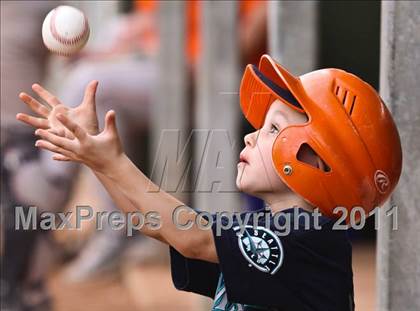 Thumbnail 1 in Brighton @ Boulder Creek (Coach Bob National Invitational) photogallery.