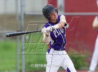 Thumbnail 2 in Plum @ Franklin Regional photogallery.