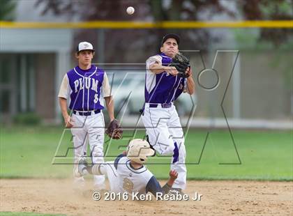 Thumbnail 1 in Plum @ Franklin Regional photogallery.