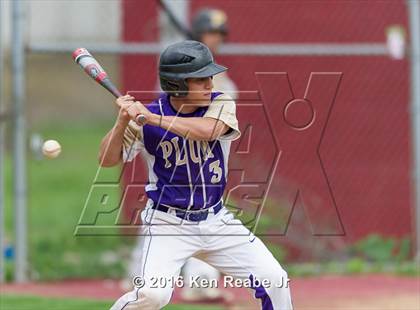 Thumbnail 1 in Plum @ Franklin Regional photogallery.