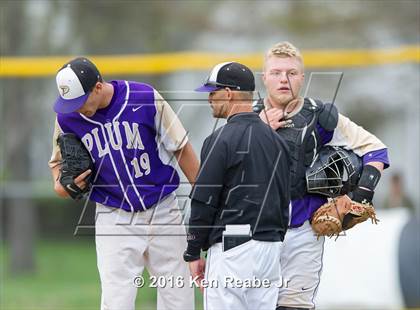 Thumbnail 2 in Plum @ Franklin Regional photogallery.
