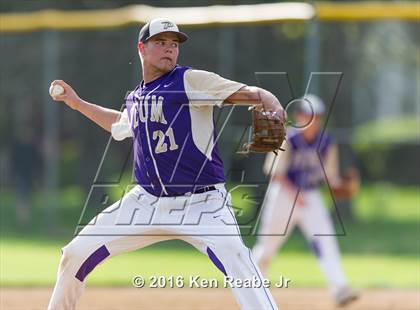 Thumbnail 2 in Plum @ Franklin Regional photogallery.
