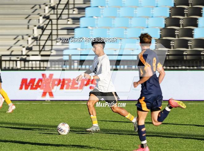 null - Photo 31