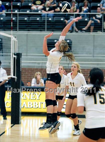 Thumbnail 2 in Ennis @ Forney photogallery.