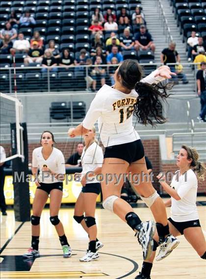 Thumbnail 3 in Ennis @ Forney photogallery.