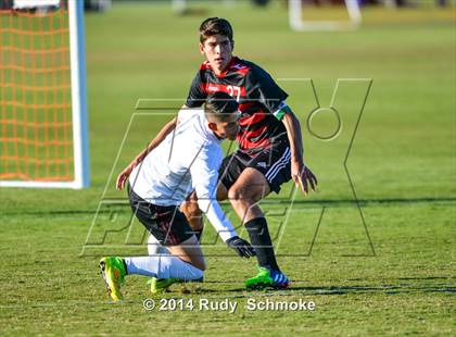 Thumbnail 1 in Paramount vs. Palos Verdes photogallery.