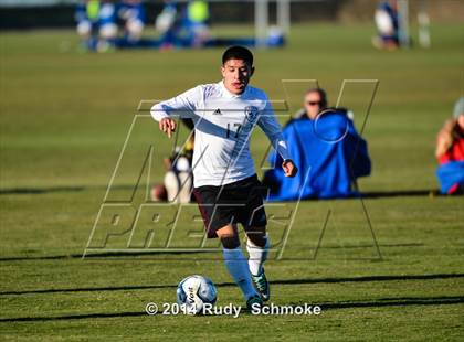 Thumbnail 2 in Paramount vs. Palos Verdes photogallery.