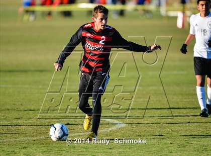 Thumbnail 2 in Paramount vs. Palos Verdes photogallery.