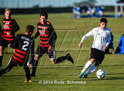 Thumbnail 1 in Paramount vs. Palos Verdes photogallery.