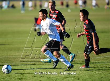 Thumbnail 2 in Paramount vs. Palos Verdes photogallery.