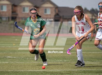 Thumbnail 2 in Mountain Vista @ Smoky Hill photogallery.