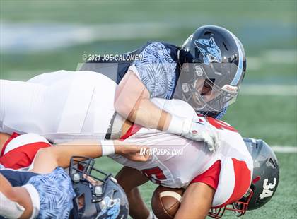 Thumbnail 2 in Lee Vs Johnson photogallery.
