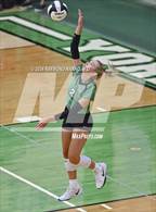 Photo from the gallery "Westfield @ Yorktown"
