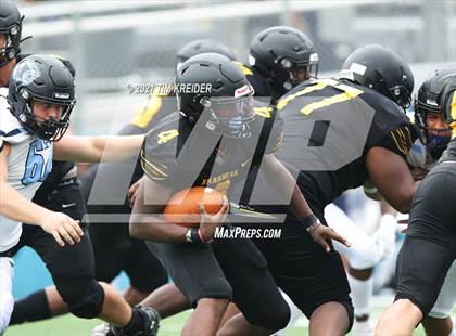 Thumbnail 3 in Brashear vs. Pallotti photogallery.