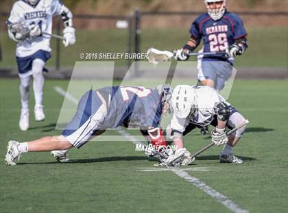 Thumbnail 1 in McMahon vs Staples photogallery.