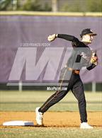 Photo from the gallery "Plant City @ Lennard"