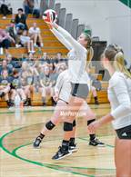Photo from the gallery "Enumclaw @ Clover Park"