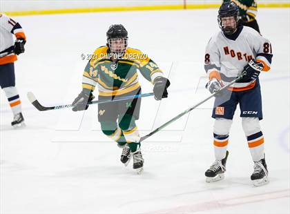 Thumbnail 3 in Waubonsie Valley vs. Naperville North  photogallery.