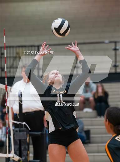 null - Photo 11