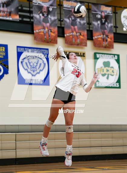 Thumbnail 3 in Avon vs. Terre Haute South Vigo (IHSAA 4A Sectional Semifinal) photogallery.