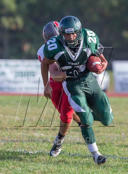 Thumbnail 2 in Connetquot @ William Floyd photogallery.